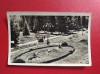 CARTE POSTALA - RPR - SLANIC MOLDOVA - IN PARCUL DE ODIHNA, Circulata, Fotografie