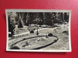 CARTE POSTALA - RPR - SLANIC MOLDOVA - IN PARCUL DE ODIHNA, Circulata, Fotografie