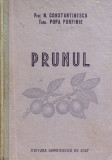 Prunul - N. Constantinescu Popa Porfire ,559656