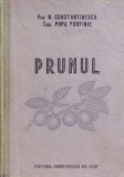 Prunul - N. Constantinescu Popa Porfire ,559656