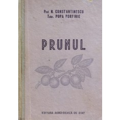 Prunul - N. Constantinescu Popa Porfire , O319