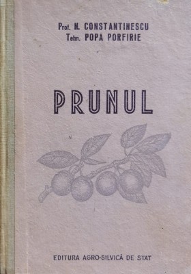 Prunul - N. Constantinescu Popa Porfire , O319 foto
