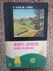Muntii Apuseni. Bihor-Vladeasa &ndash; M. Bleahu, S. Bordea