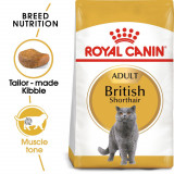Royal Canin hrană pentru pisici britanici cu blană scurtă 2 kg
