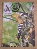C12 - maxima Romania - tematica pasari 13 - prima zi a emisiunii sau expozitii, Romania de la 1950, Fauna
