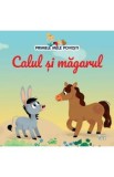 Primele mele povesti. Calul si magarul