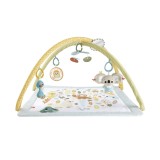 FISHER PRICE SALTELUTA DE ACTIVITATI, Mattel