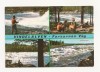 AM2- Carte Postala - SUEDIA - Vindelalven, Forsarnas Vag, necirculata, Circulata, Fotografie