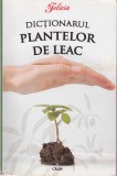 AS - FELICIA - DICTIONARUL PLANTELOR DE LEAC