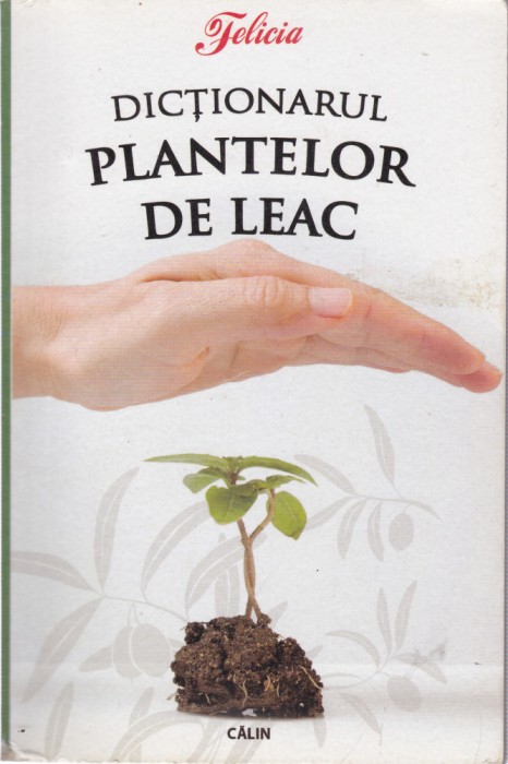 AS - FELICIA - DICTIONARUL PLANTELOR DE LEAC