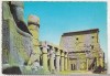 Bnk cp Egipt - Luxor - Templul lui Ramses II - Kruger 747/61 - necirculata, Printata