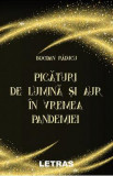 Picaturi de lumina si aur in vremea pandemiei - Bogdan Raducu, 2021