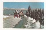 RF91 - Carte Postala - Sinaia, Cabana cota 1300, circulata 1983