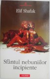 Sfantul nebuniilor incipiente &ndash; Elif Shafak
