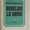 Silvia Zabarcencu - Revelion la vama