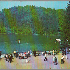 CPI B14567 - CARTE POSTALA - SOVATA. LACUL URSU