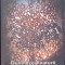 DUMNEZEUL NATURII INTRUPAREA SI STIINTA CONTEMPORANA-C.C. KNIGHT-272023