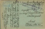 CP1718N Carte poștală cu ștampila K u K Feldartilleriegiment Nr 10, 1918, Feldpost 529, circulat de pe frontul italian la Arad, levelező-lap
