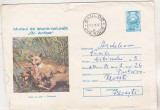 bnk ip Intreg postal 0291/1974 - circulat - Antipa - Vulpi la cuib