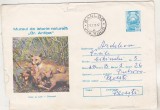 Bnk ip Intreg postal 0291/1974 - circulat - Antipa - Vulpi la cuib, Dupa 1950