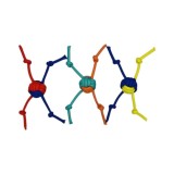 Set 3 jucarii de antrenament pentru caini, cu mingie si funie, in forma de X