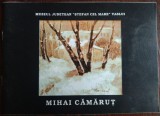 Cumpara ieftin MIHAI CAMARUT (1904-1981): CATALOG EXPOZITIE, VASLUI 2001
