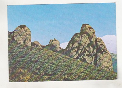 bnk cp Muntii Ciucas - Goliatul Ciucasului - circulata foto