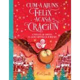 Cum a ajuns Felix acasa de Craciun