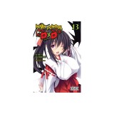 High School DXD, Vol. 13 (Light Novel)