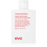 EVO Repair Ritual Salvation sampon fortifiant pentru par deteriorat si vopsit 300 ml