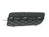 Grila proiector ceata stanga Bmw X5 E70 2007-2010, Autowag