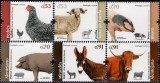 PORTUGALIA 2019 ANIMALE DOMESTICE