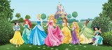 Fototapet Printese Disney - 202x90 cm