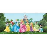 Fototapet Printese Disney - 202x90 cm