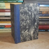 Maior D. NICOLESCU - DIN STRABUNI : ICOANE, POVESTIRI SI PILDE , ED.IV-A , 1921 *