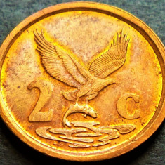 Moneda 2 CENTI - AFRICA de SUD, anul 1996 *cod 2712 B = AFURIKA TSHIPEMBE