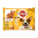 Pedigree pouch, hrana umeda pentru caini, 4 x 100 gr