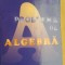 Probleme de algebra- Luciana Lupas, Alexandru Lupas