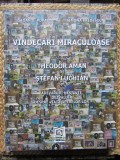 VINDECARI MIRACULOASE , THEODOR AMAN SI STEFAN LUCHIAN