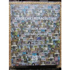VINDECARI MIRACULOASE , THEODOR AMAN SI STEFAN LUCHIAN