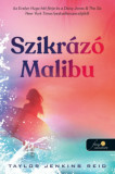 Szikr&aacute;z&oacute; Malibu - Taylor Jenkins Reid