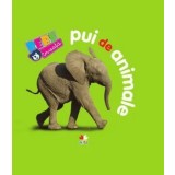 Pui de animale/***