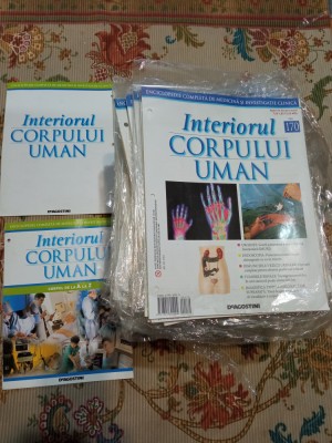 Colecție Interiorul Corpului Uman Deagostini foto