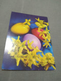 CARTE POSTALA FELICITARE PASTI CIRCULATA, Printata