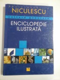 CULTURA GENERALA ENCICLOPEDIE ILUSTRATA - MATTHIAS EDBAUER, DR. HARMUT DICK