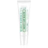 Mario Badescu Mint Lip Balm balsam de buze ultra nutritiv 10 g