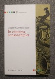 Valentina Sandu-Dediu - &Icirc;n căutarea consonanţelor