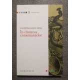 Valentina Sandu-Dediu - &Icirc;n căutarea consonanţelor