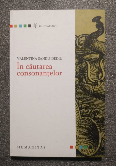 Valentina Sandu-Dediu - &Icirc;n căutarea consonanţelor