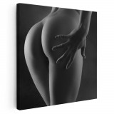 Tablou nud femeie fund alb negru 2045 Tablou canvas pe panza CU RAMA 80x80 cm